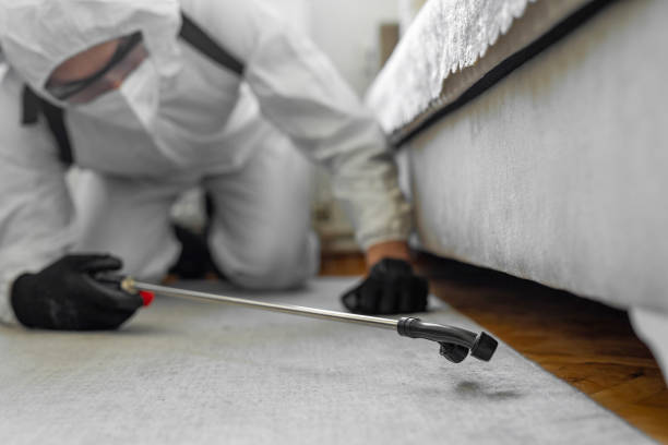 Professional Ant Control technician working in Mineola, NY
