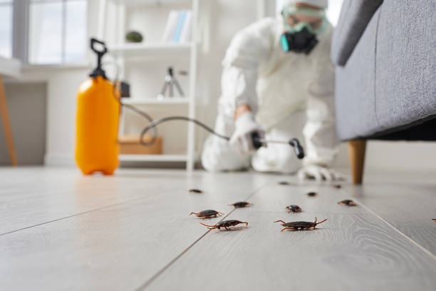 Trusted Fumigation Services service in Mineola, NY - Nex Pest Control